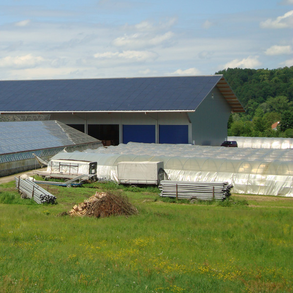 Landwirtschaftsbetrieb In Wohlenschwil Megasol Energie Ag